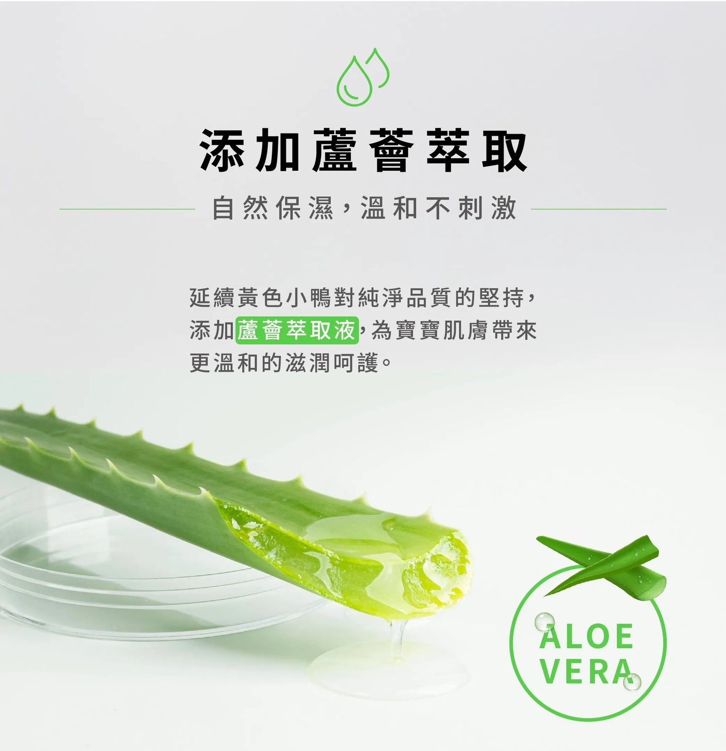 黃色小鴨 超純水蘆薈保濕嬰兒濕紙巾(80抽/包)